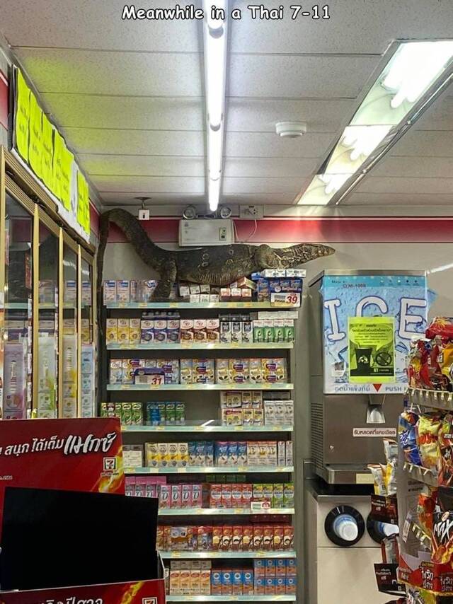 Bildschirmarbeiter - Picdump KW14 2021