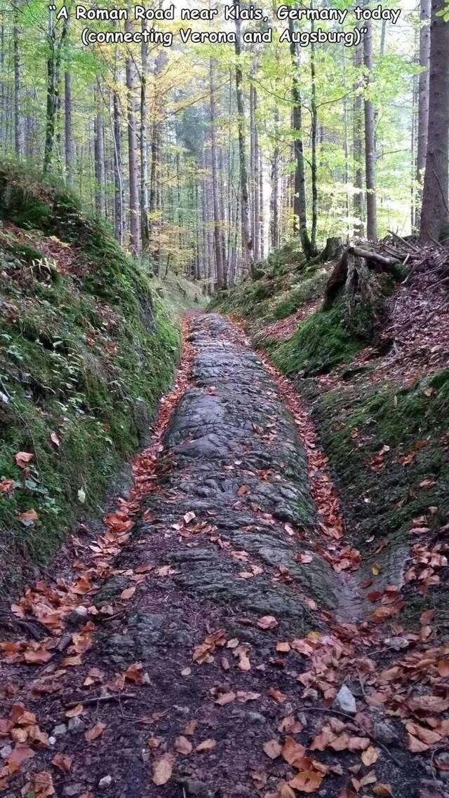 Bildschirmarbeiter - Picdump KW14 2021