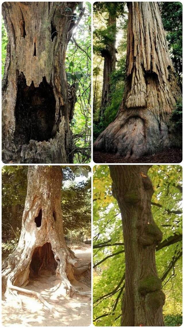 Bildschirmarbeiter - Picdump KW14 2021