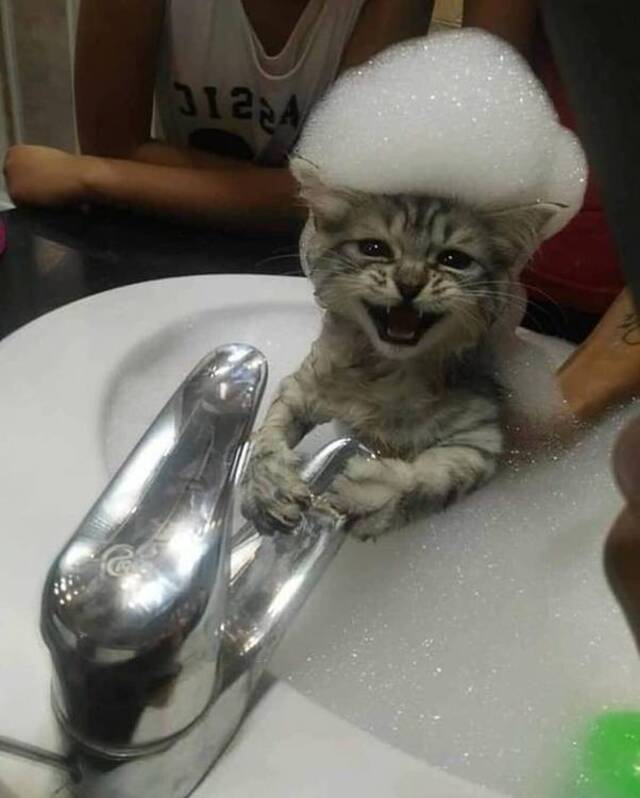 Bildschirmarbeiter - Picdump KW14 2021