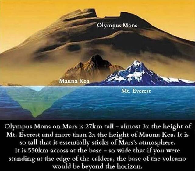 Bildschirmarbeiter - Picdump KW14 2021