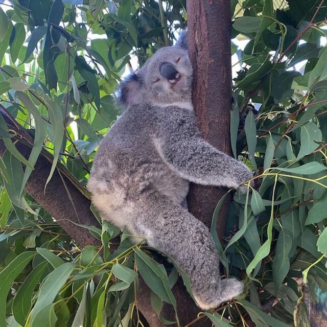 Bildschirmarbeiter - Picdump KW14 2021