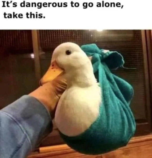 Bildschirmarbeiter - Picdump KW15 2021