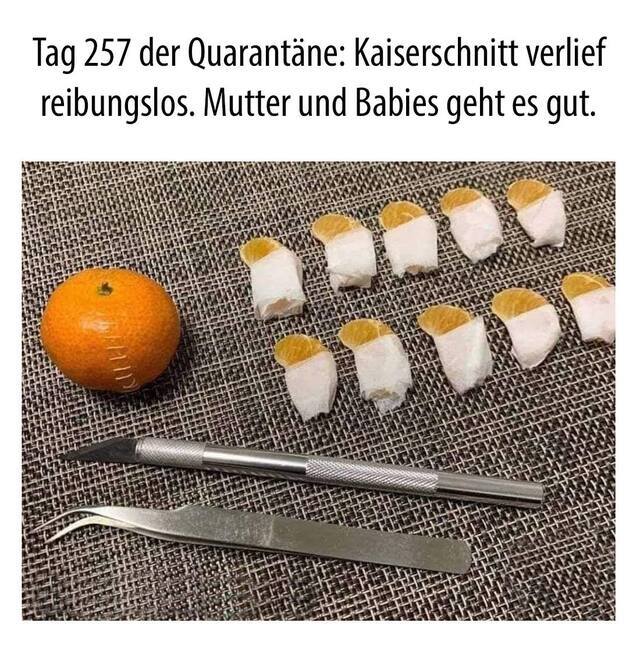 Bildschirmarbeiter - Picdump KW15 2021