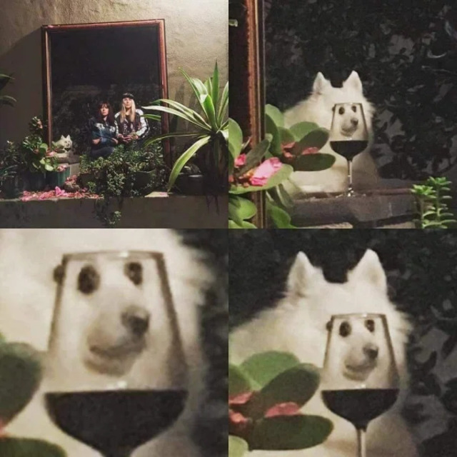 Bildschirmarbeiter - Picdump KW15 2021