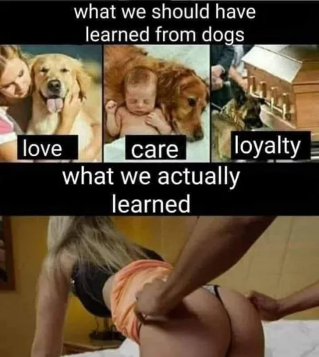 Bildschirmarbeiter - Picdump KW15 2021