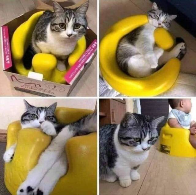 Bildschirmarbeiter - Picdump KW15 2021