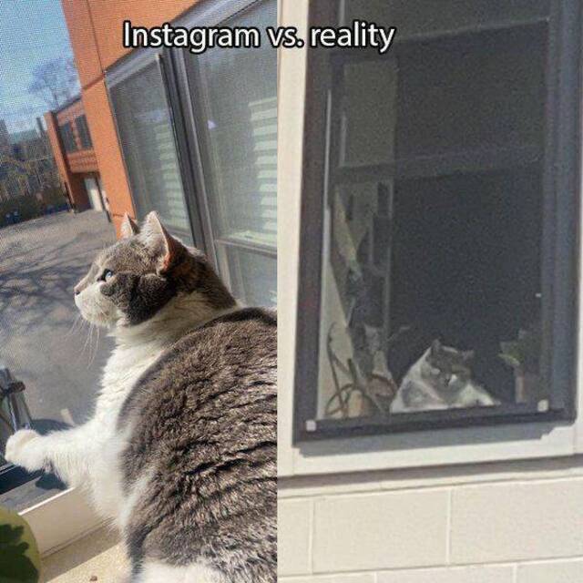 Bildschirmarbeiter - Picdump KW15 2021