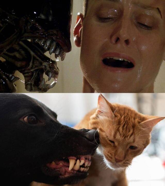 Bildschirmarbeiter - Picdump KW15 2021