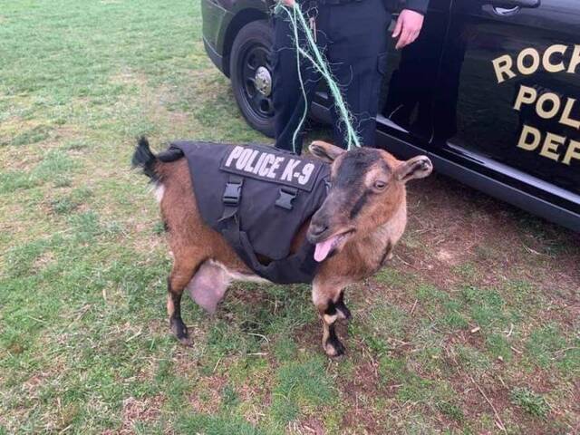 Bildschirmarbeiter - Picdump KW15 2021