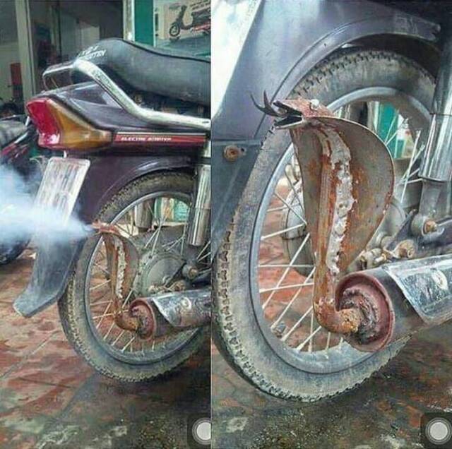 Bildschirmarbeiter - Picdump KW15 2021