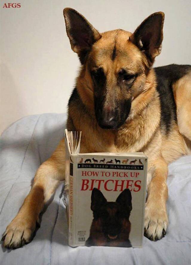 Bildschirmarbeiter - Picdump KW15 2021