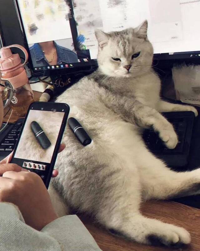 Bildschirmarbeiter - Picdump KW15 2021