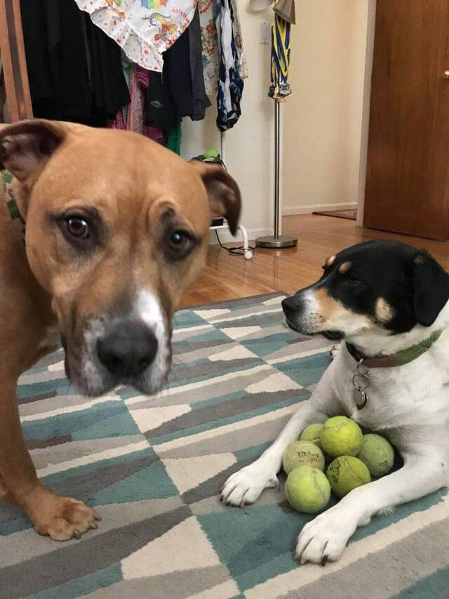 Bildschirmarbeiter - Picdump KW15 2021