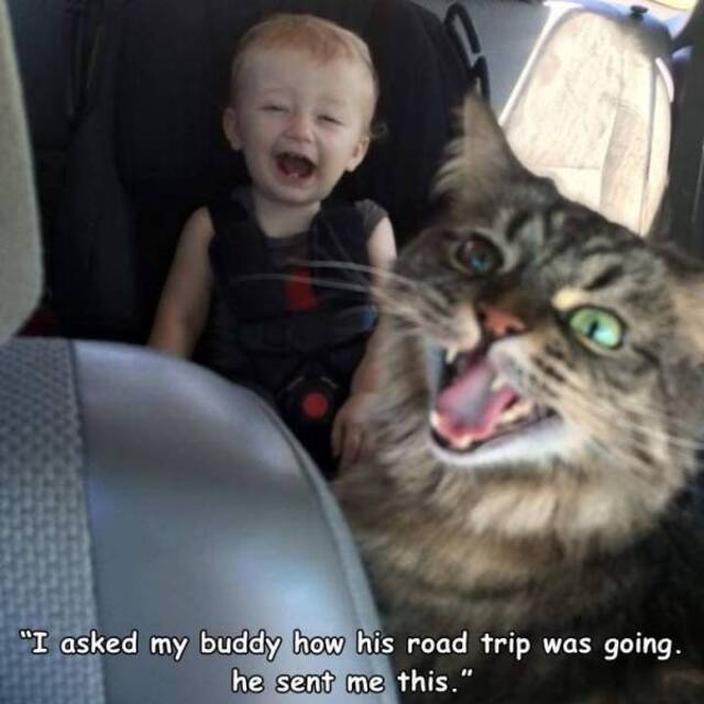 Bildschirmarbeiter - Picdump KW15 2021