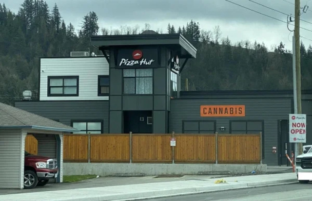 Bildschirmarbeiter - Picdump KW15 2021