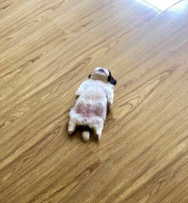 Bildschirmarbeiter - Picdump KW 15/2022