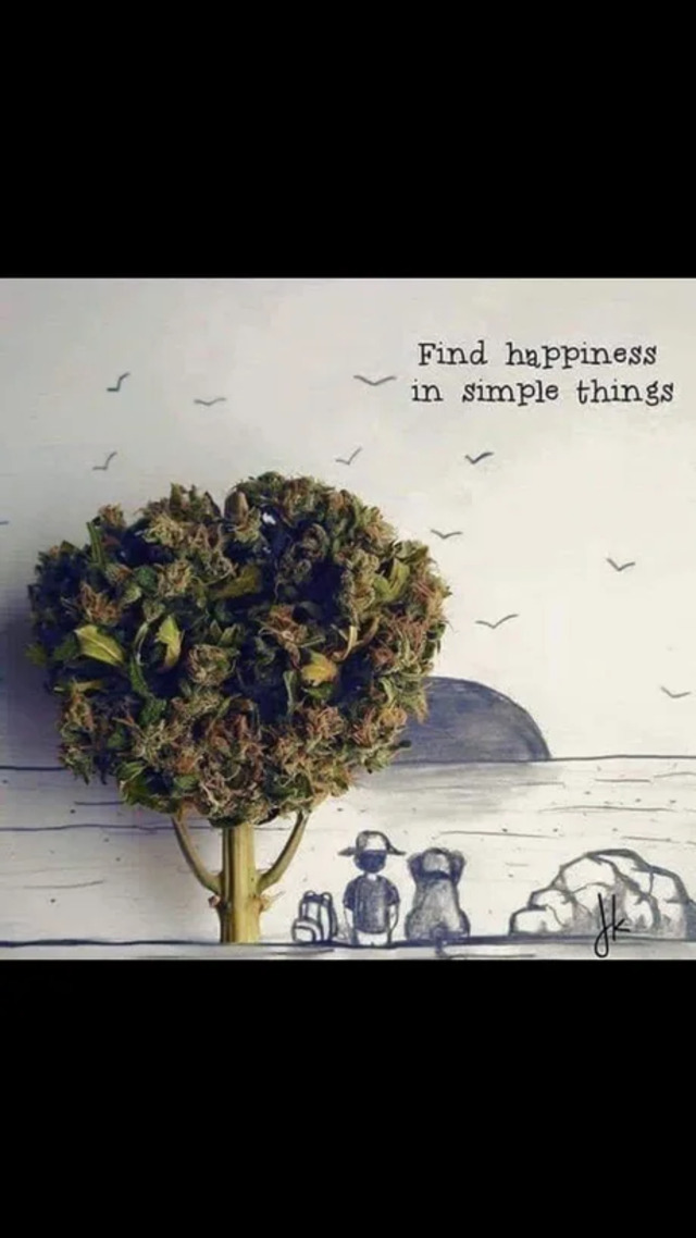 Bildschirmarbeiter - Picdump KW 15/2022