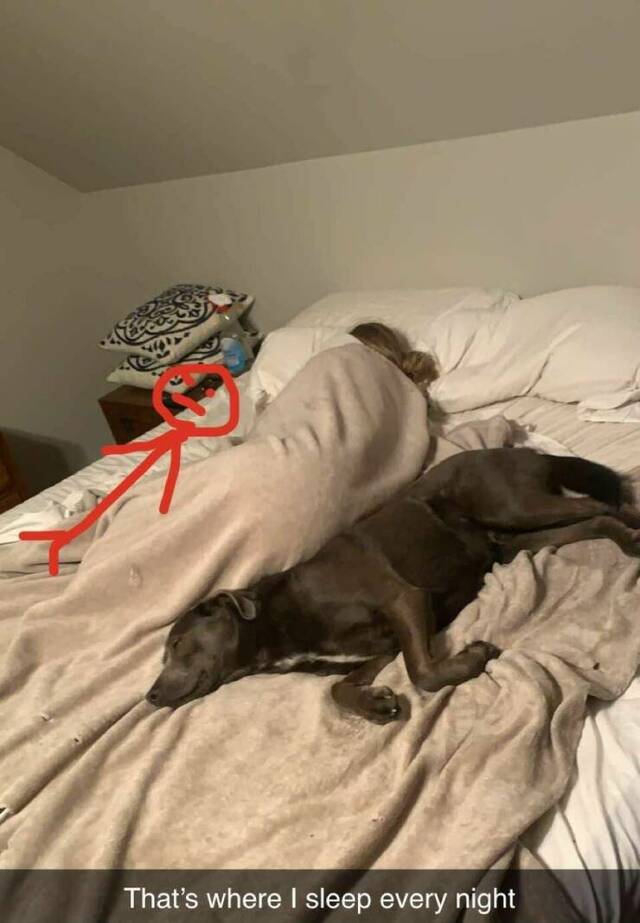 Bildschirmarbeiter - Picdump KW 15/2022