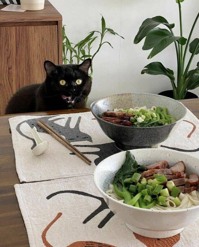 Bildschirmarbeiter - Picdump KW 15/2022