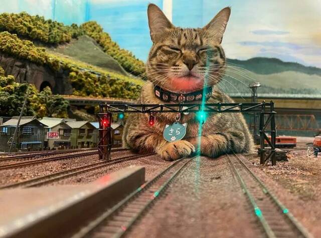 Bildschirmarbeiter - Picdump KW 15/2022