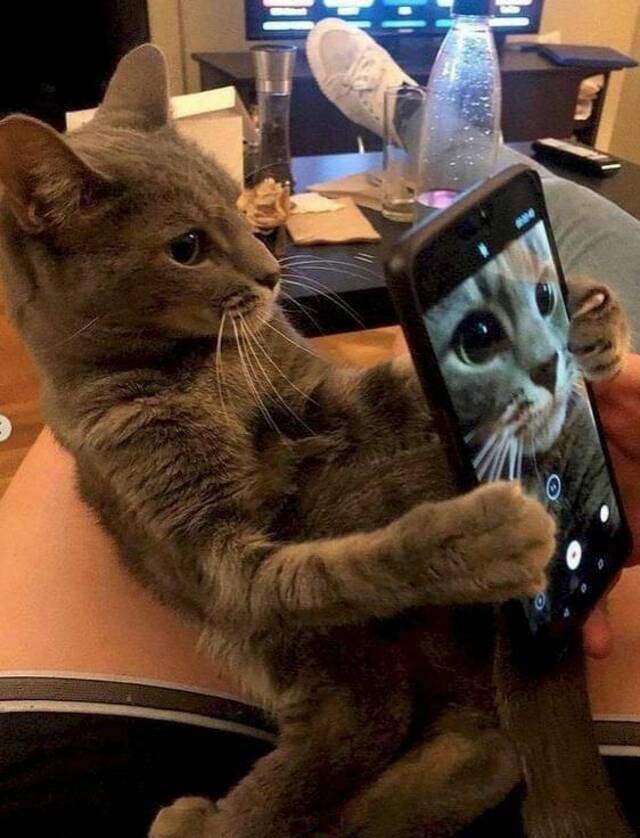 Bildschirmarbeiter - Picdump KW 15/2022