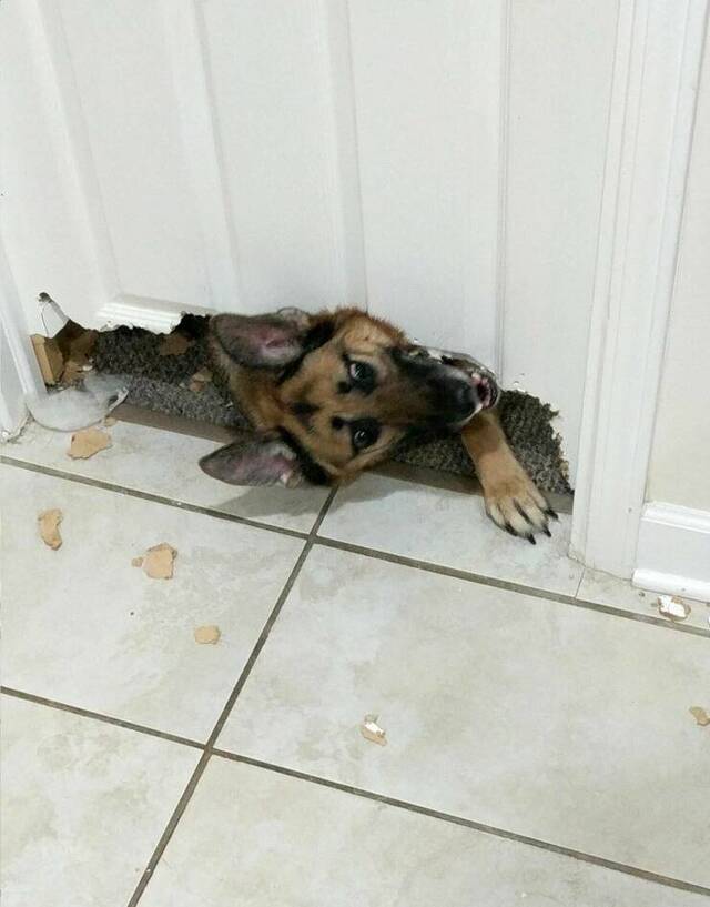 Bildschirmarbeiter - Picdump KW 15/2022