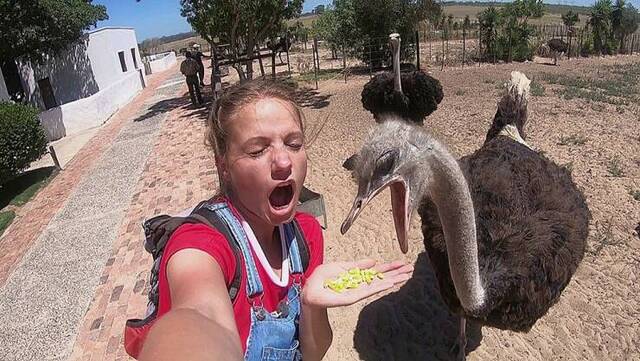 Bildschirmarbeiter - Picdump KW 15/2022