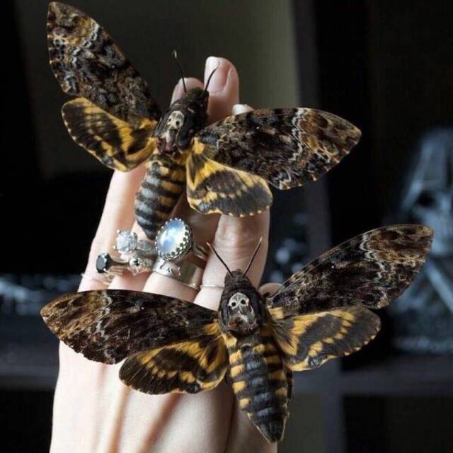 Bildschirmarbeiter - Picdump KW 15/2022