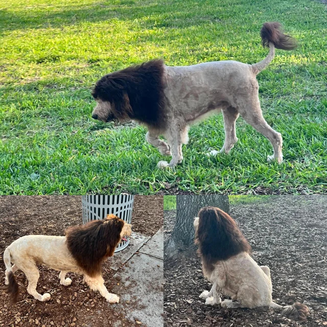 Bildschirmarbeiter - Picdump KW 15/2022