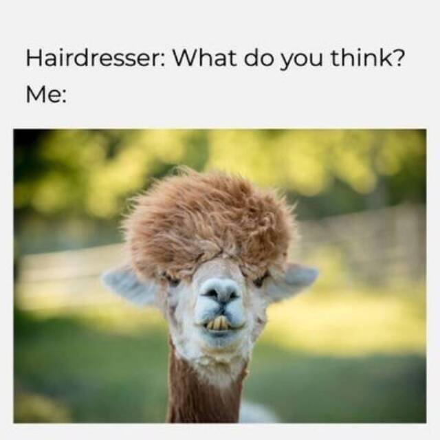 Bildschirmarbeiter - Picdump KW 15/2022