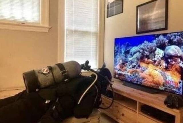 Bildschirmarbeiter - Picdump KW 15/2022