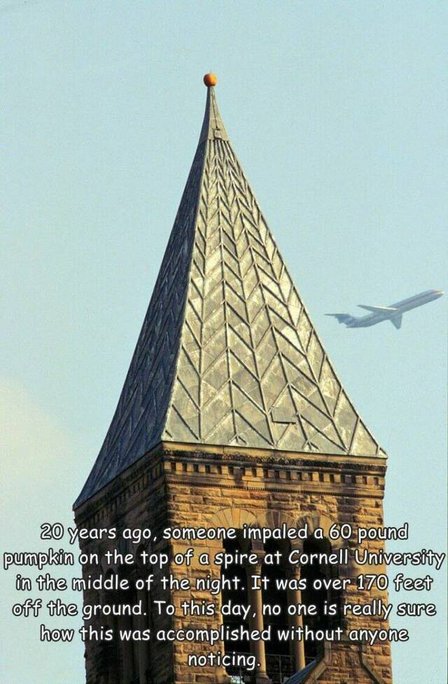 Bildschirmarbeiter - Picdump KW 15/2022