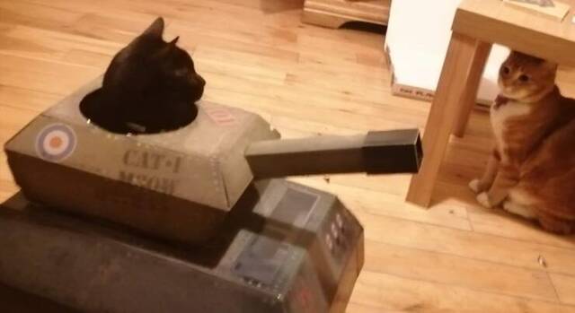 Bildschirmarbeiter - Picdump KW 15/2022