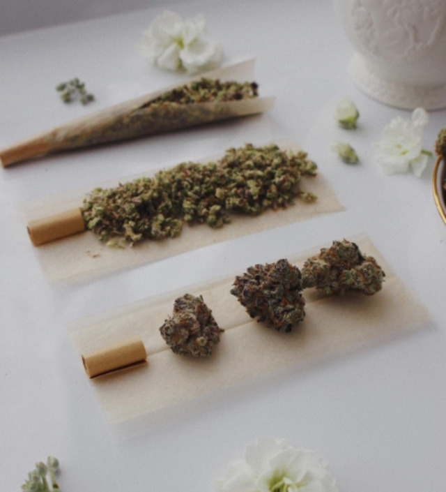 Bildschirmarbeiter - Picdump KW 15/2022