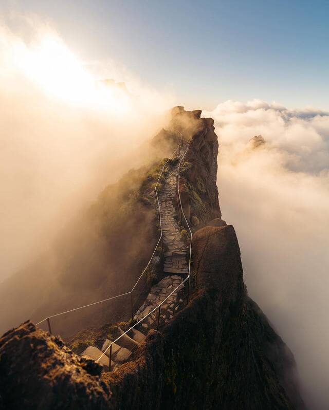 Bildschirmarbeiter - Picdump KW 15/2022