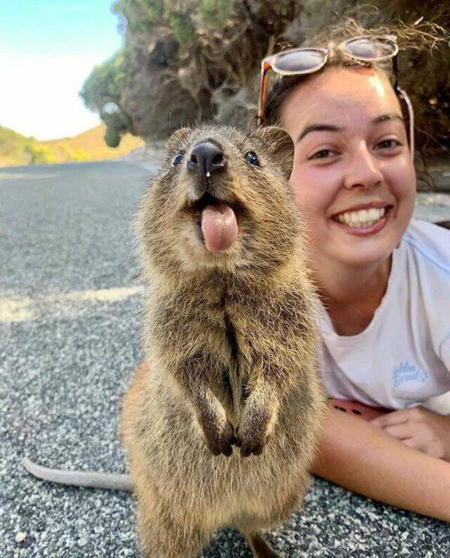 Bildschirmarbeiter - Picdump KW 15/2022