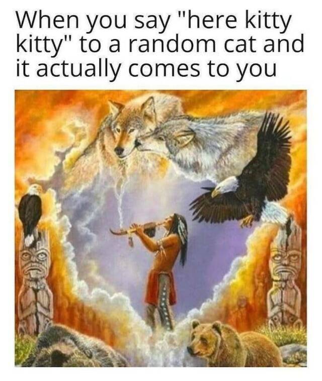 Bildschirmarbeiter - Picdump KW 15/2022