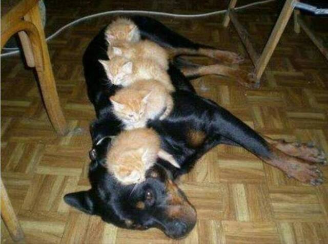 Bildschirmarbeiter - Picdump KW 15/2022