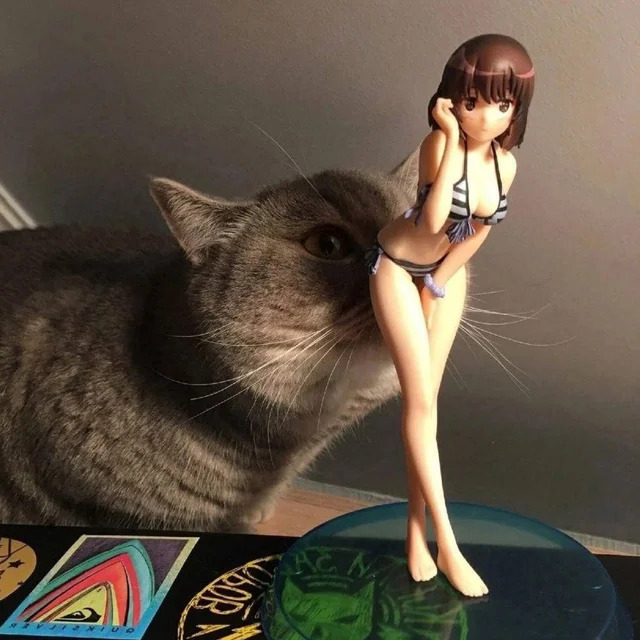 Bildschirmarbeiter - Picdump KW 15/2022