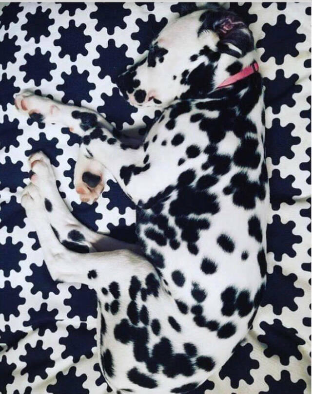 Bildschirmarbeiter - Picdump KW 15/2022