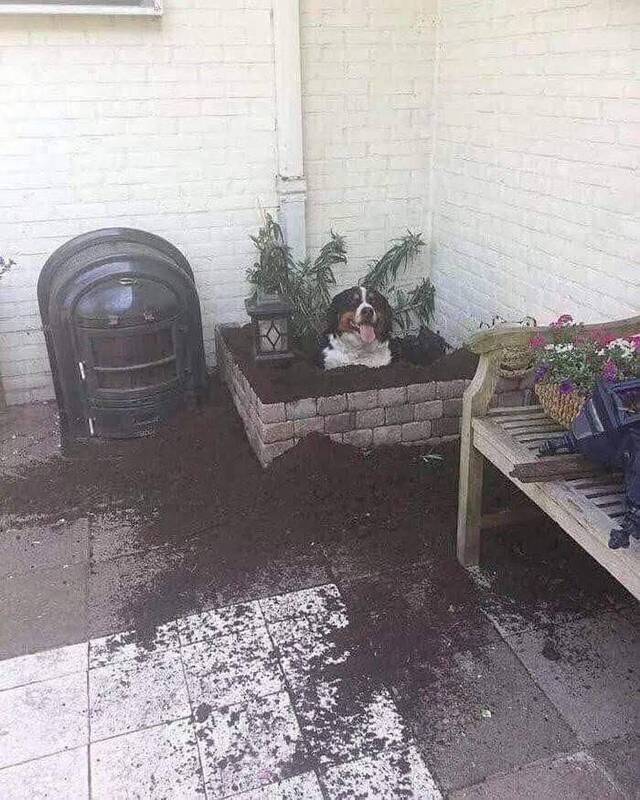 Bildschirmarbeiter - Picdump KW 15/2026