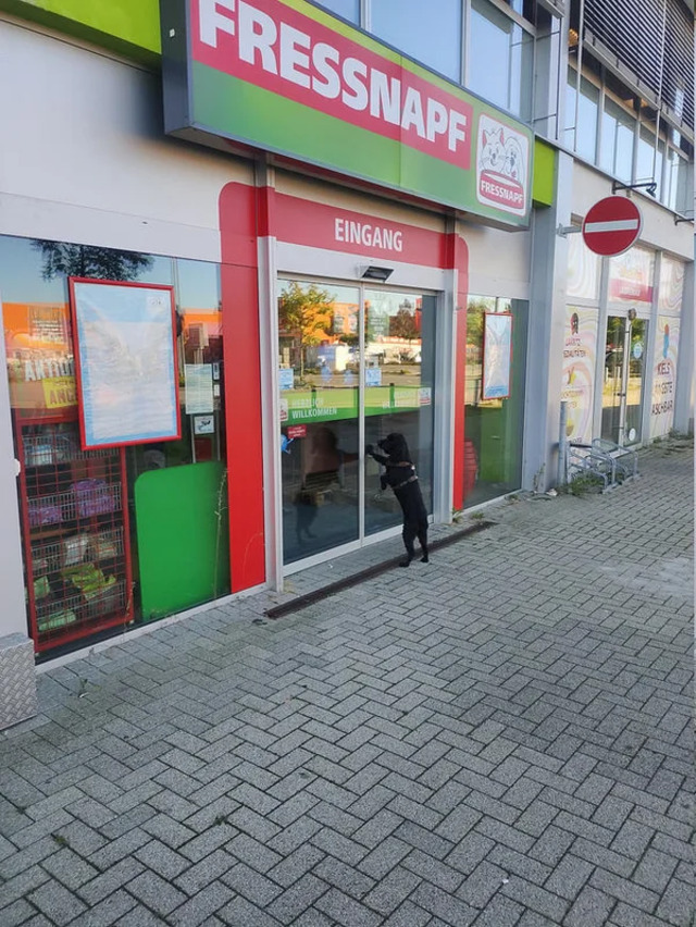 Bildschirmarbeiter - Picdump KW 15/2026