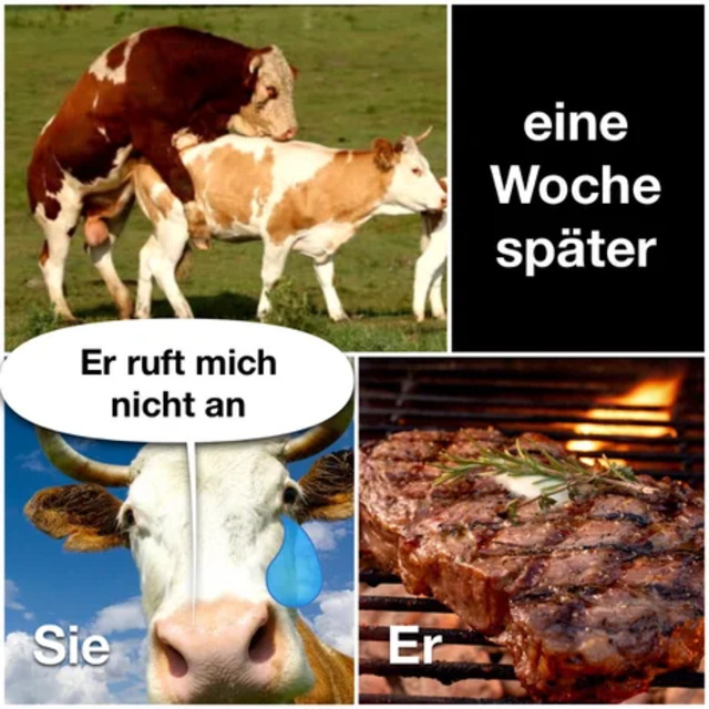 Bildschirmarbeiter - Picdump KW 16/2022