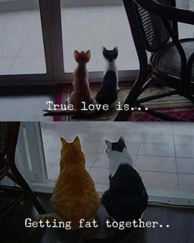 Bildschirmarbeiter - Picdump KW 16/2022