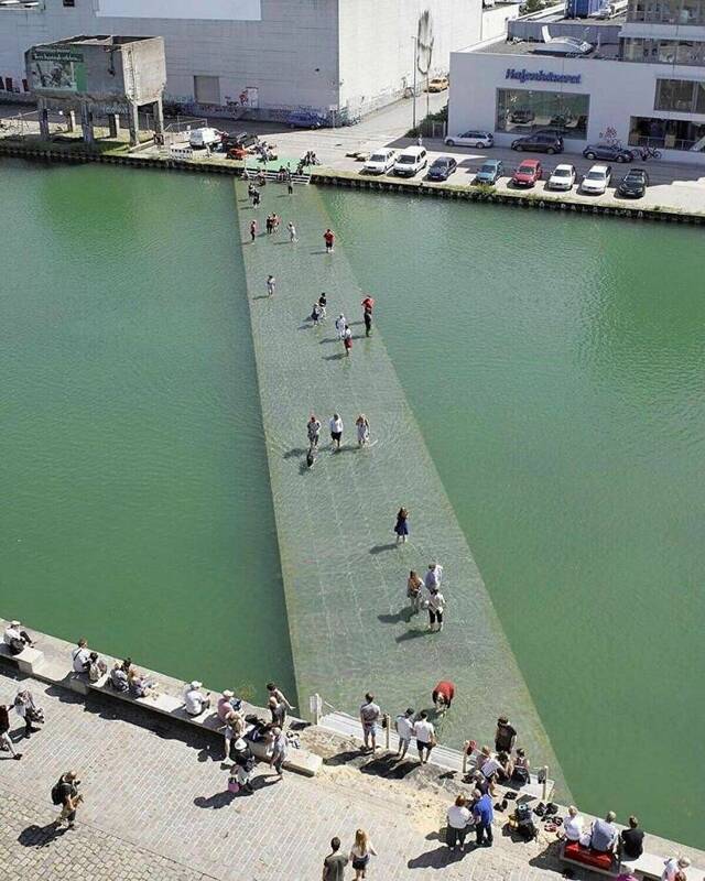 Bildschirmarbeiter - Picdump KW 16/2022