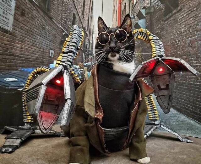 Bildschirmarbeiter - Picdump KW 16/2022