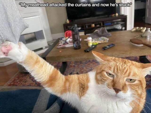 Bildschirmarbeiter - Picdump KW 16/2022