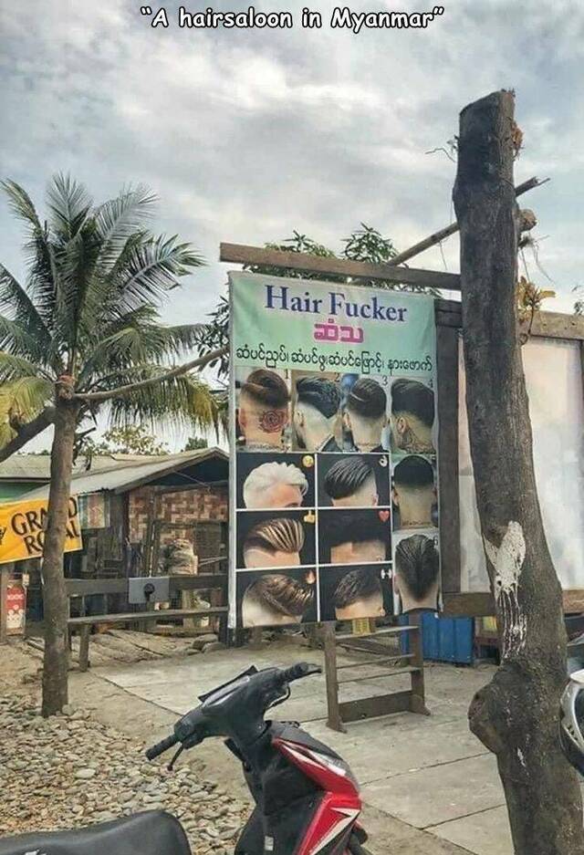 Bildschirmarbeiter - Picdump KW 16/2022