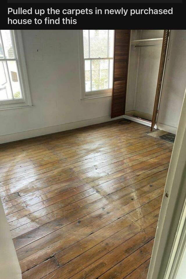 Bildschirmarbeiter - Picdump KW 16/2022